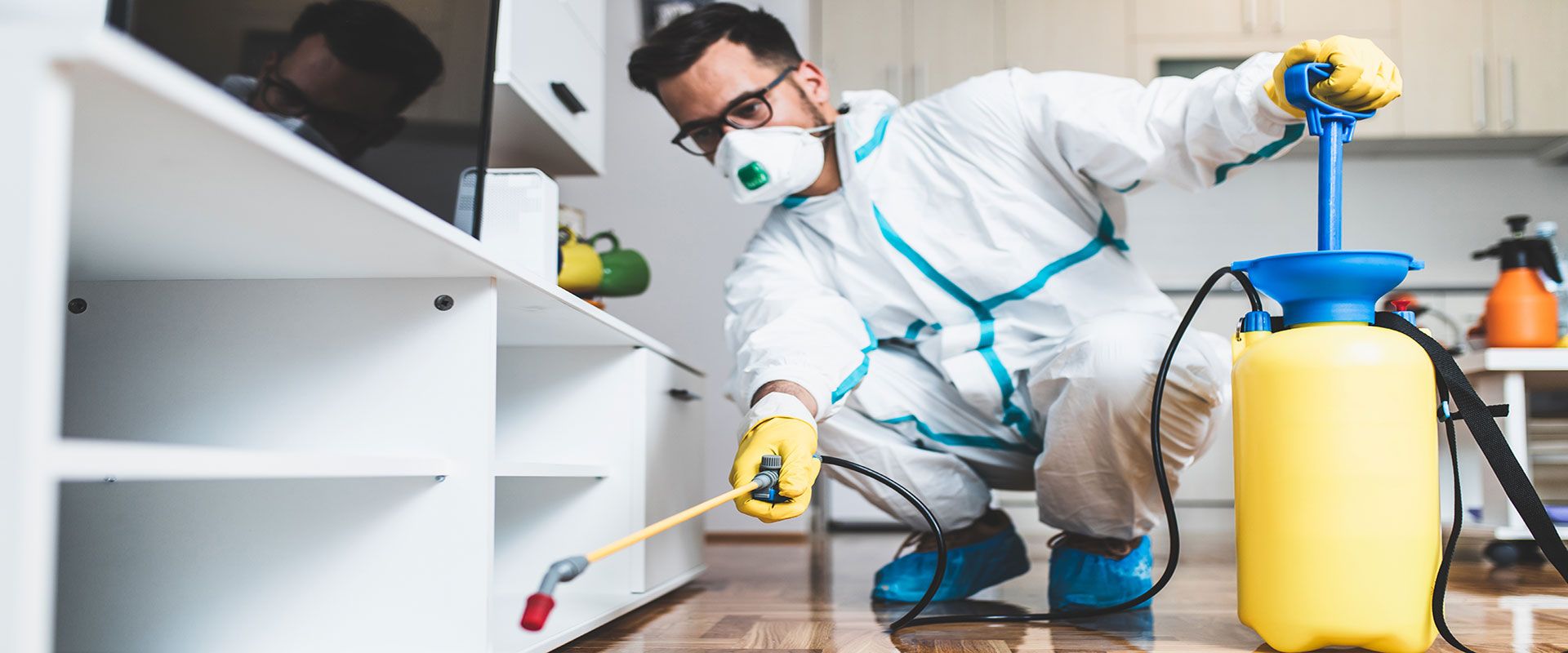 Beyoğlu Böcek ve Haşere