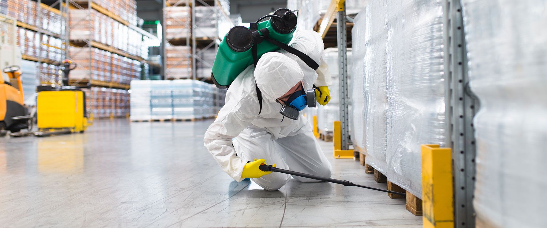 Beyoğlu Haşere Yok Etme