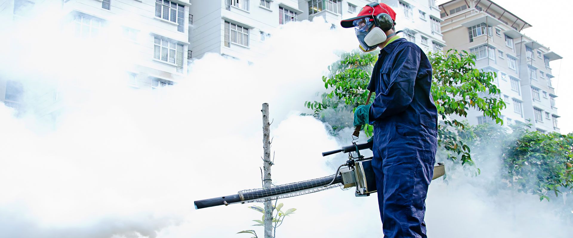 Beyoğlu Böcek İlaçlama